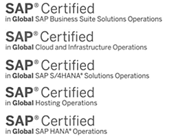 Zertifierter SAP Berater Logo