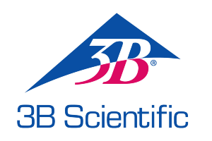 3B Scientific Syntax Logo