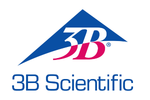 3B-Scientific-Logo-Syntax 3B Scientific Syntax Logo