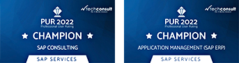 SAP Consulting AMS Champion Siegel