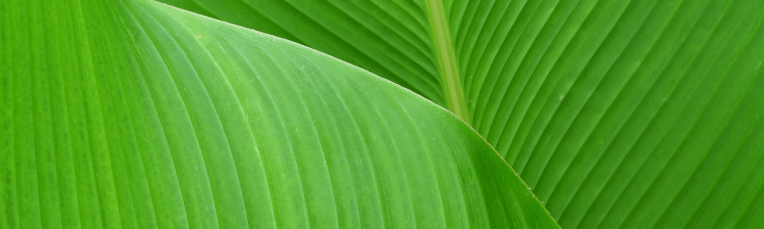 Inside Syntax: Gemeinsam in eine nachhaltige Zukunft  I  Interview mit Dirk Schawag