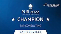 sap-consulting-champion-2022