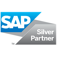 sap-silver-partner-syntax-servicios