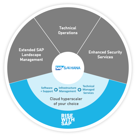 Optimization-Services-for-RISE-with-SAP