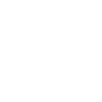 Detect__Icon_White_500