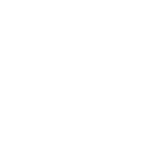Safeguard__Icon_White_500