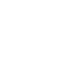 Safeguard__Icon_White_500 Safeguard__Icon_White_500