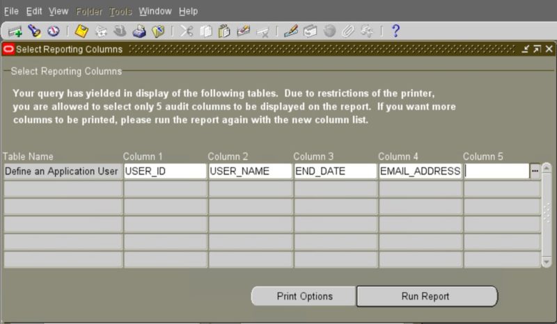 Understanding the Value and Functionality of Oracle EBS Audit Trail ...