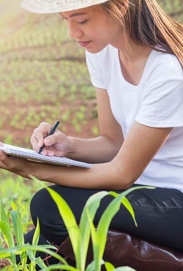 Woman assessing crops